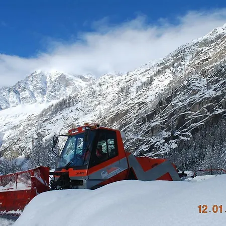 Aquila *